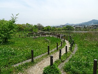 斜ケ浦池遊歩道